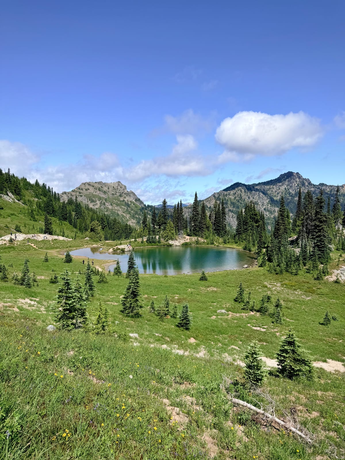 A small alpine pond surrounded by green meadows, evergreen trees, and rocky peaks
