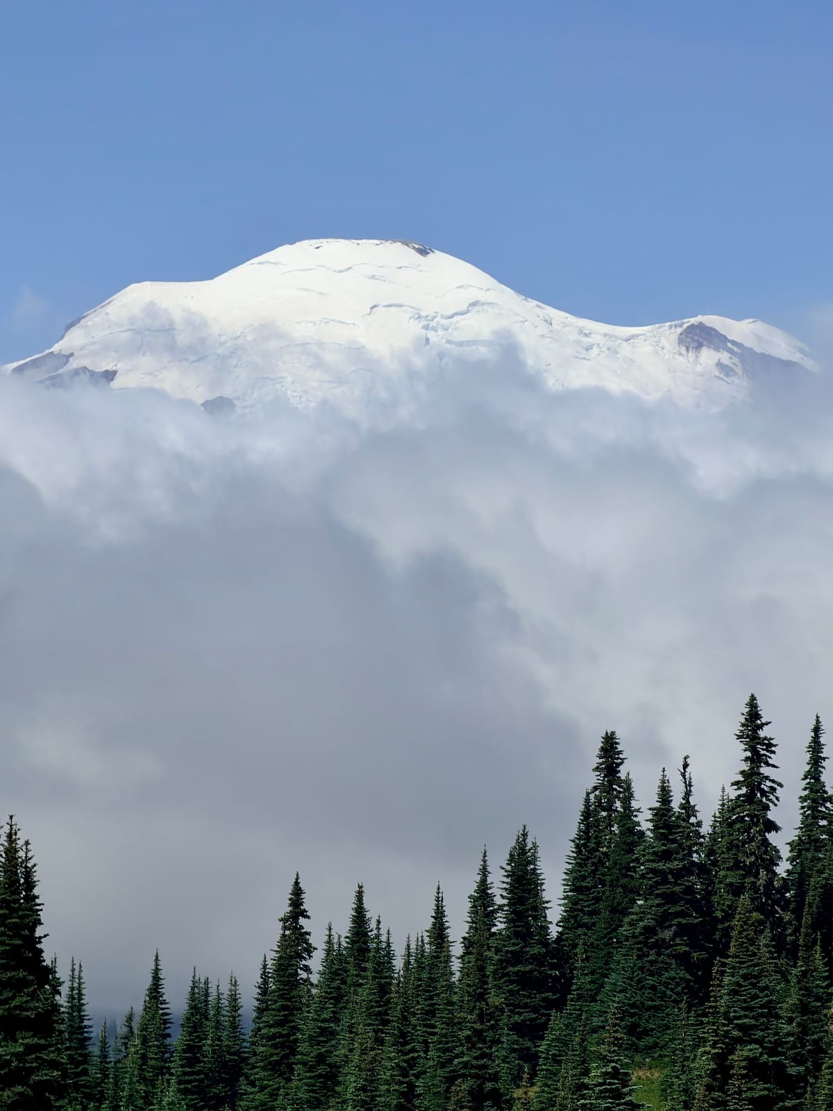 The snowy summit and glaciers of Mount Rainier peeking above a bank of clouds