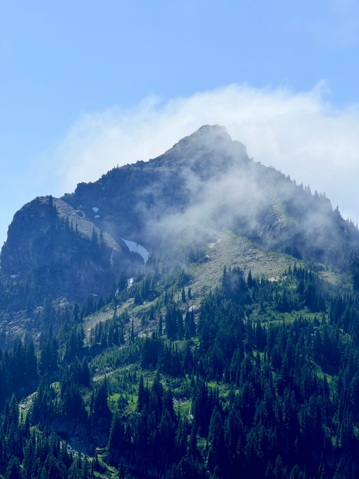 A rugged mountain peak partly wrapped in sunlit clouds above evergreen forest