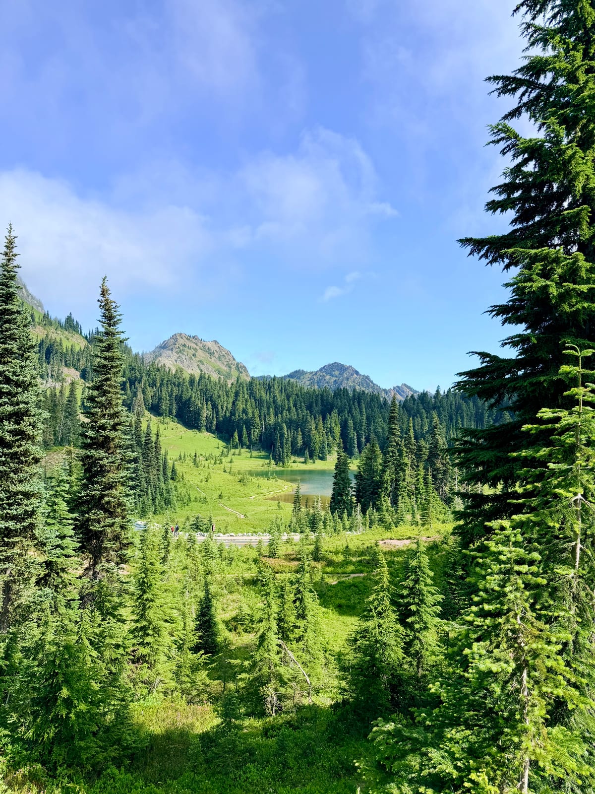 A green alpine valley with a pond, evergreen forest, and rocky peaks beneath a blue sky