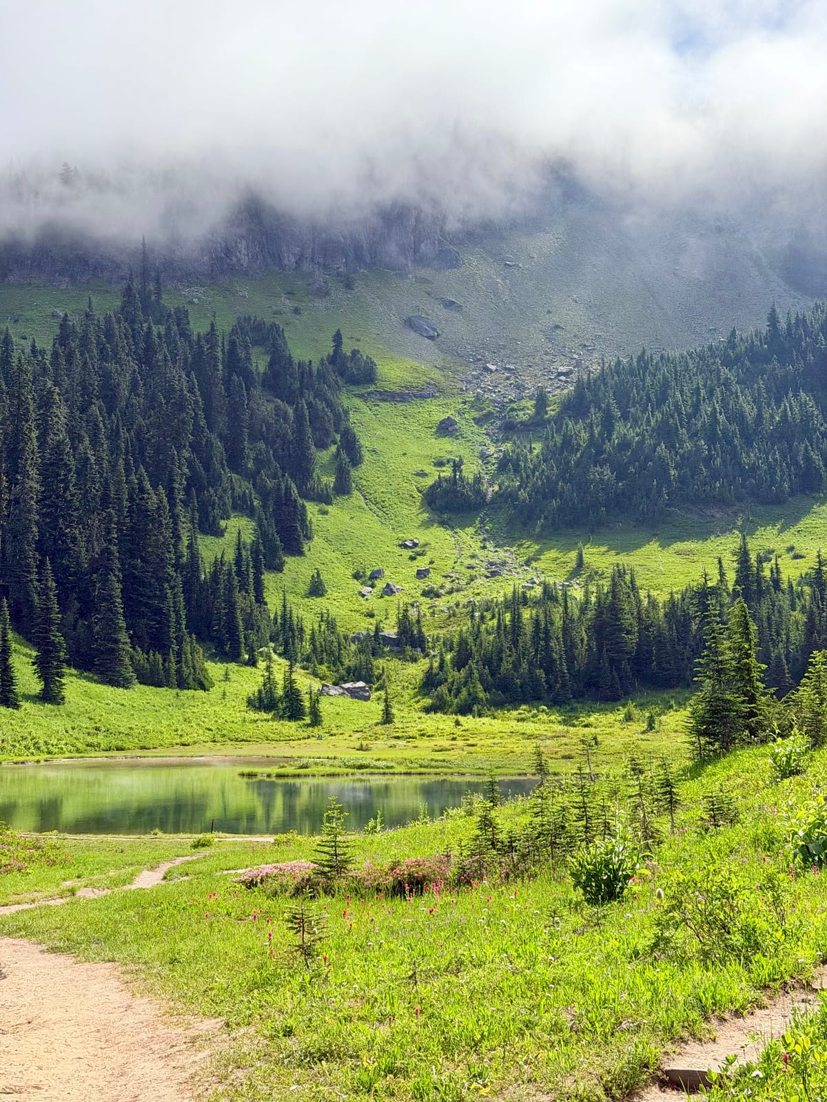 A trail curving past an alpine pond and wildflowers below a misty mountainside