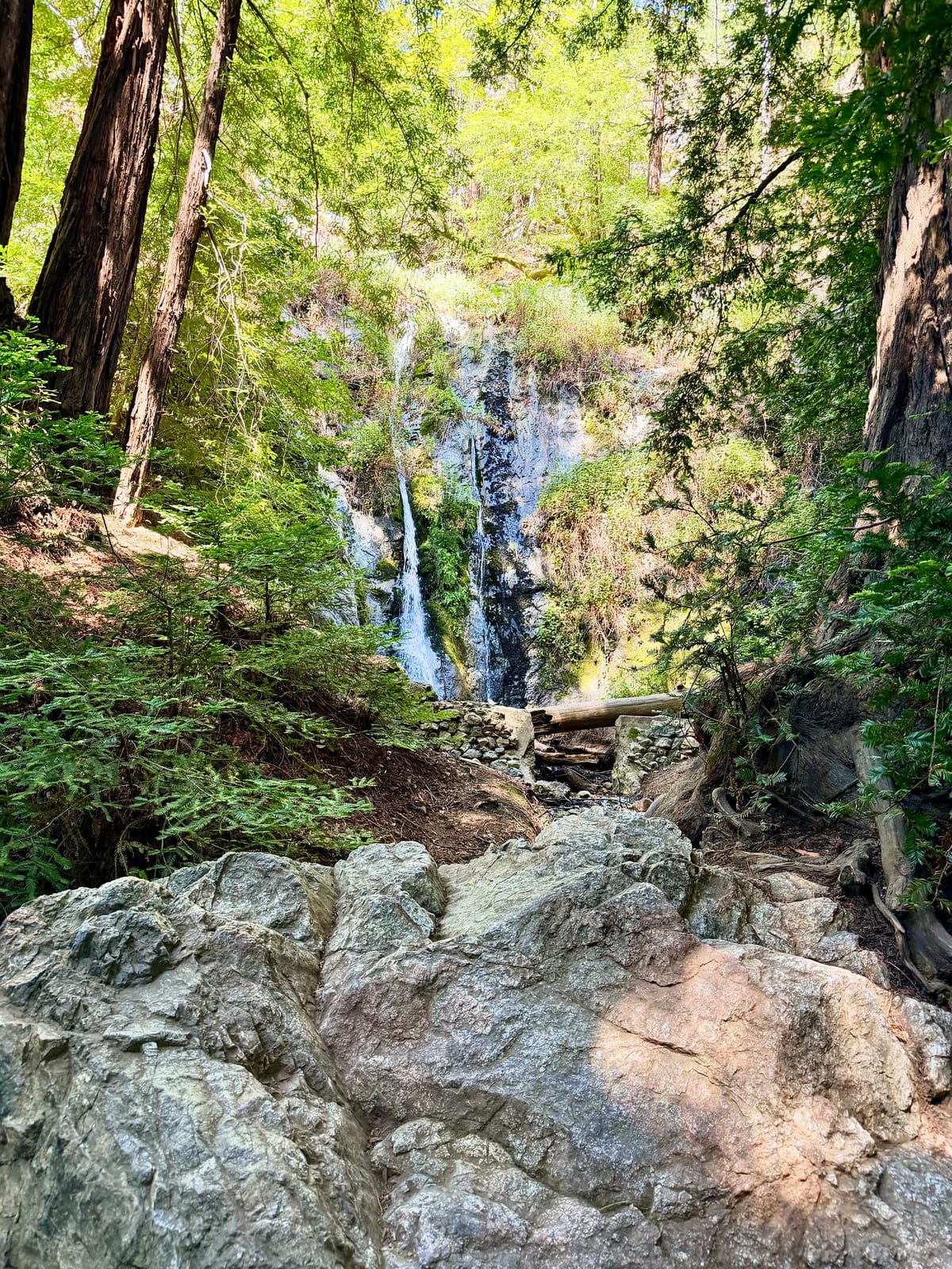 A narrow waterfall flowing over a rocky cliff among redwoods in Big Sur