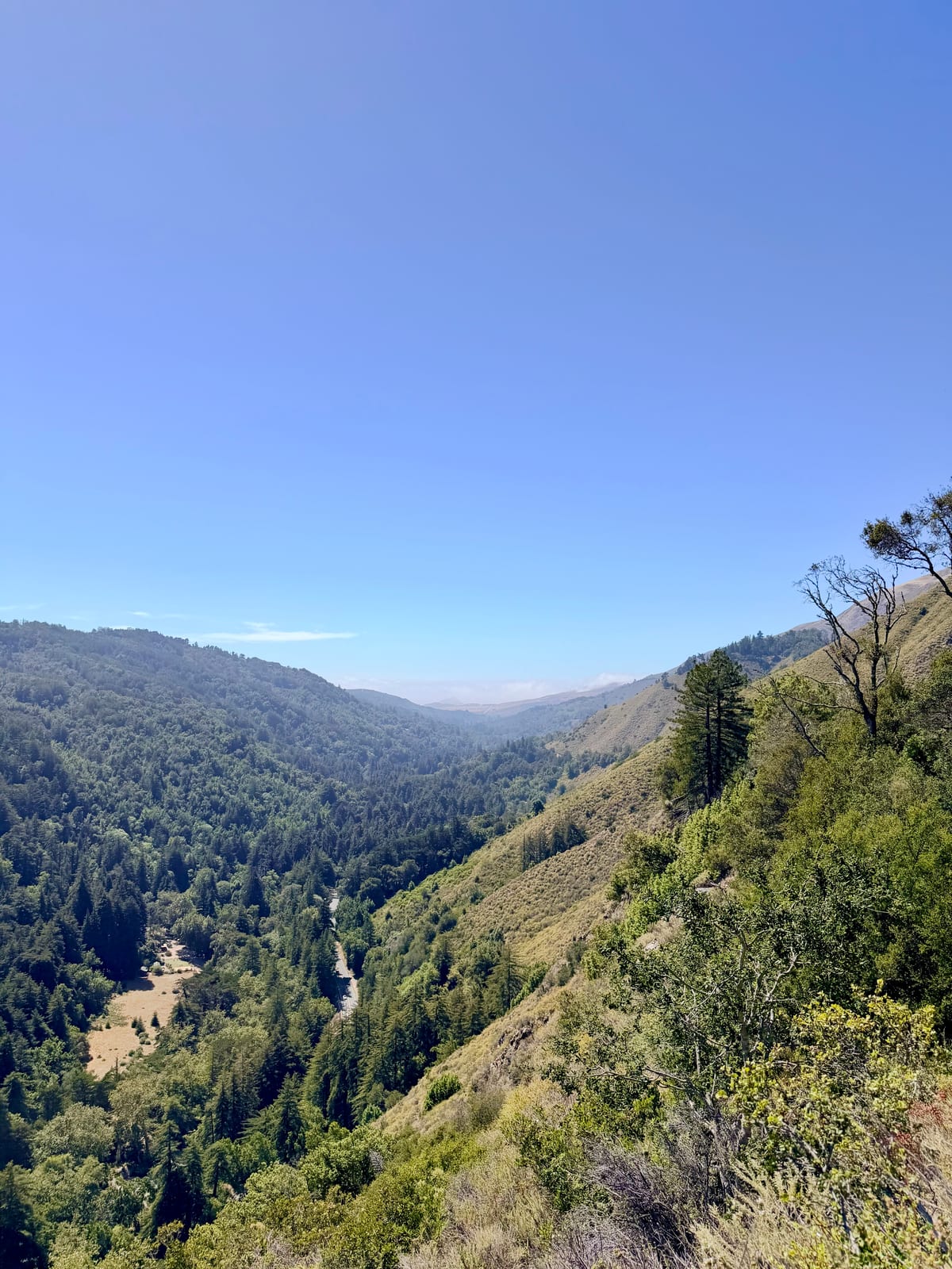 A wide view across forested hills and dry slopes beneath a clear blue sky in Big Sur