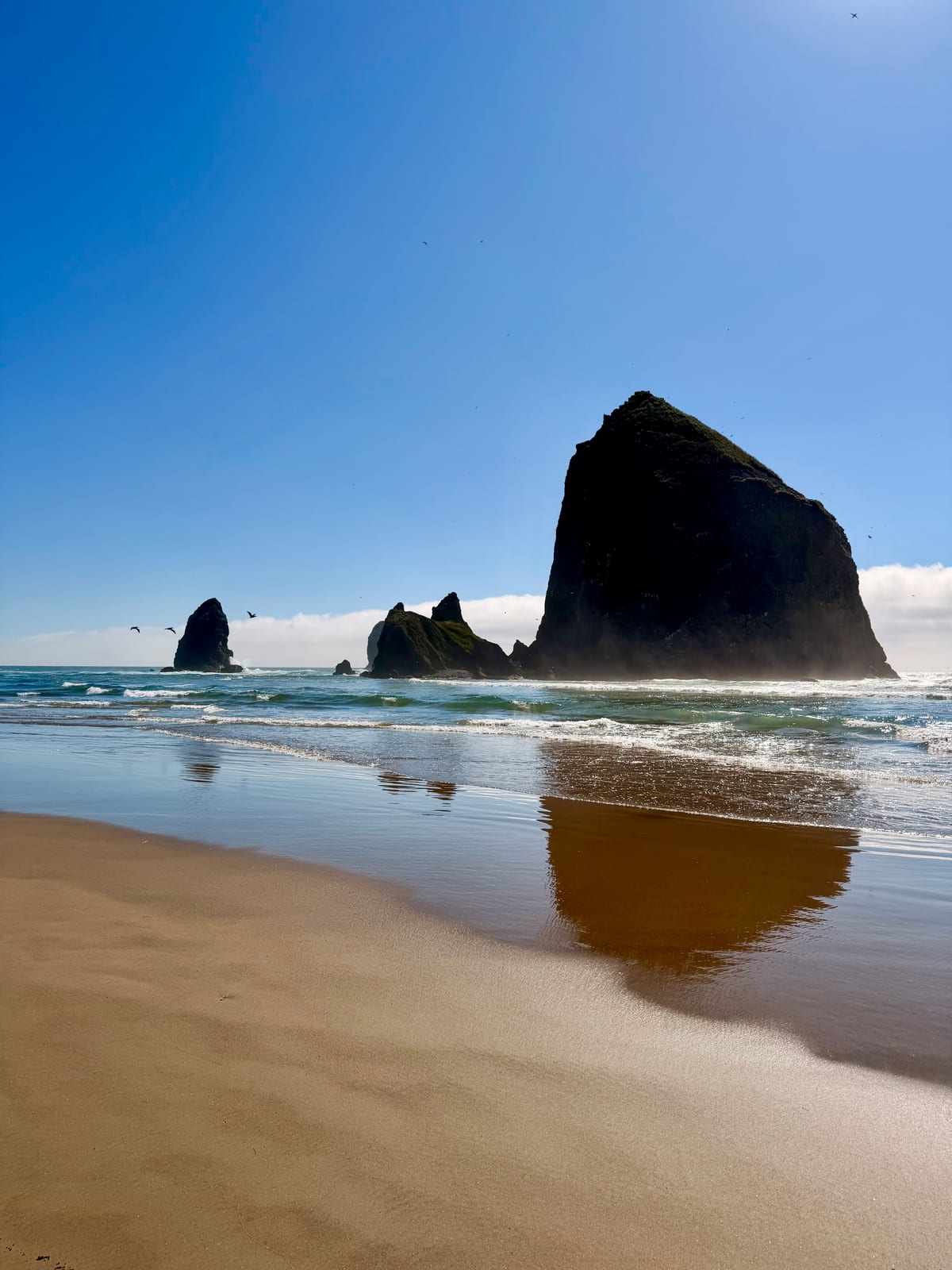 Haystack Rock and smaller sea stacks reflected in the wet sand at Cannon Beach