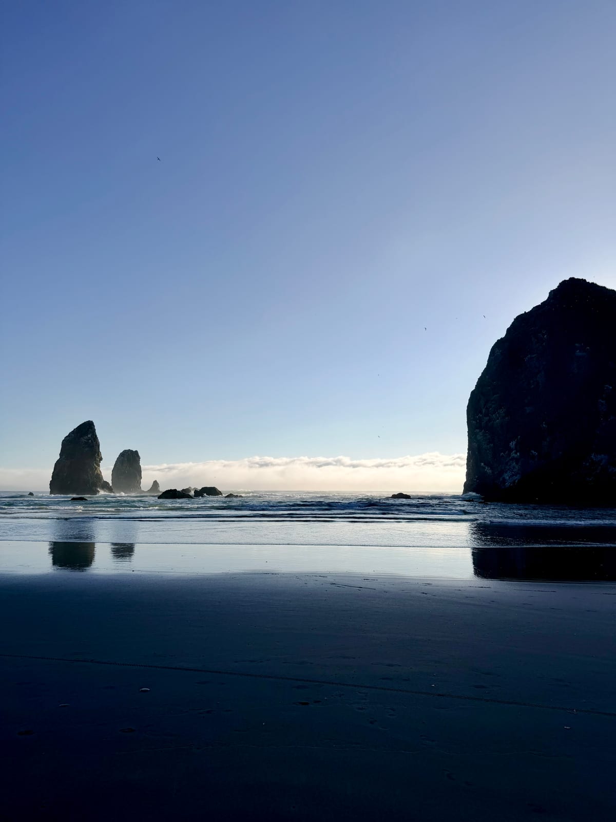 Sea stacks silhouetted against the evening sky and reflected across wet sand