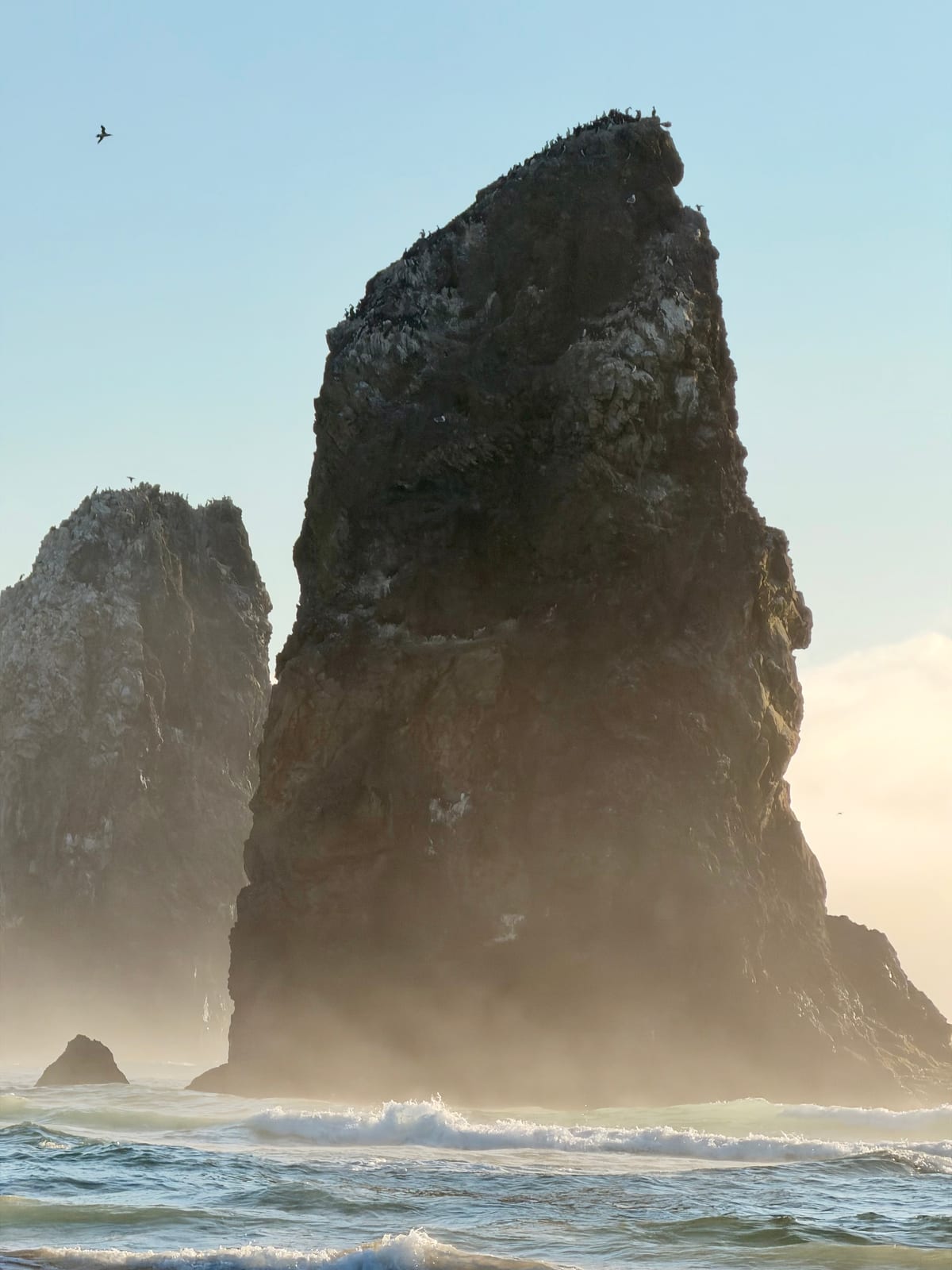 A close view of seabirds gathered on a misty sea stack at Cannon Beach