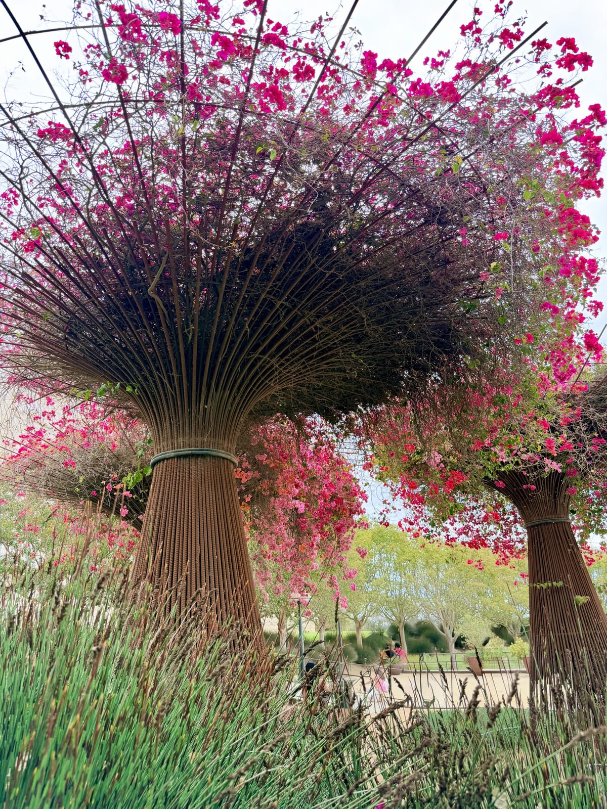 Tree-like garden structures covered in bright pink flowers