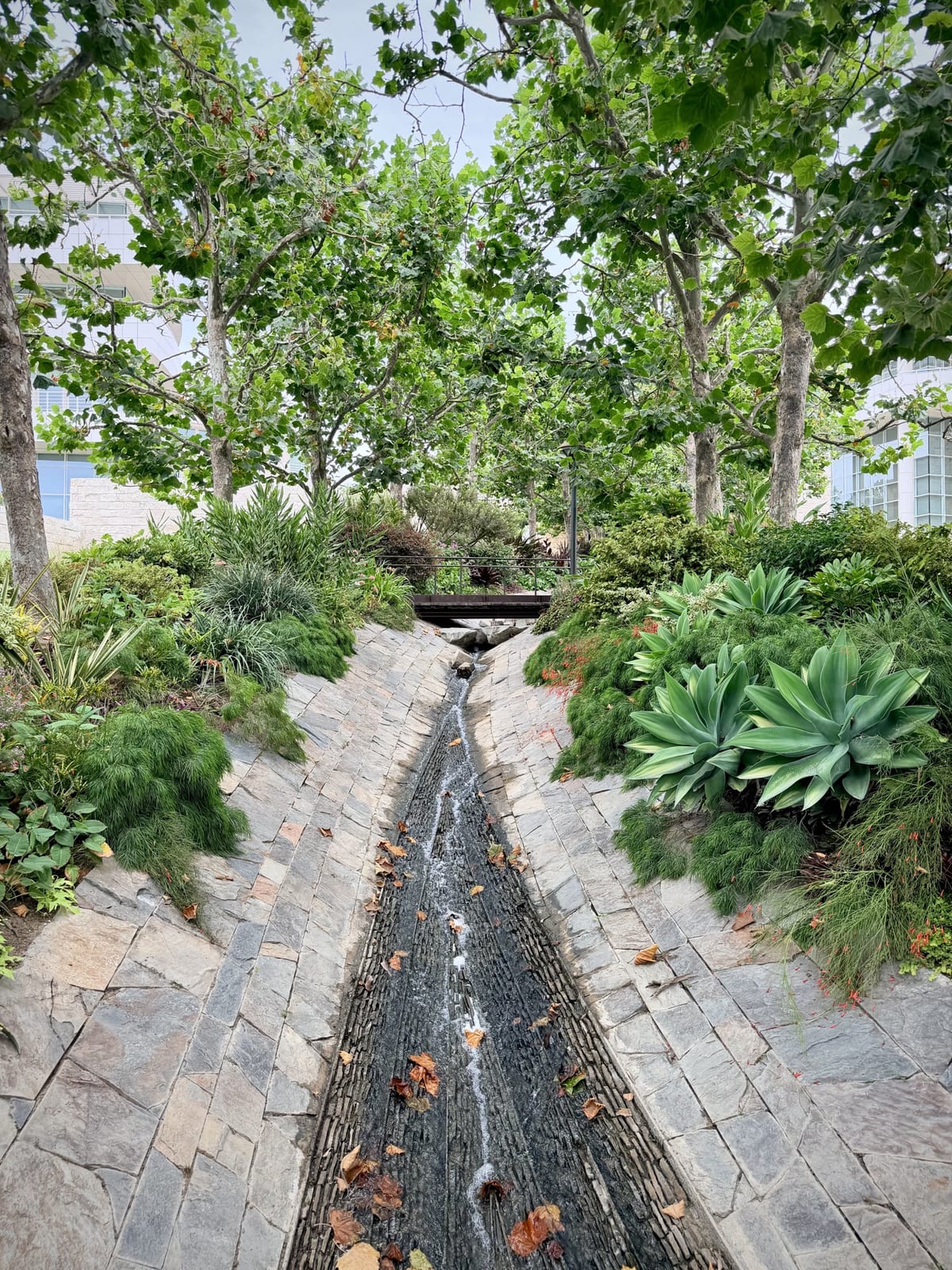 A narrow stream running through the Getty Center garden