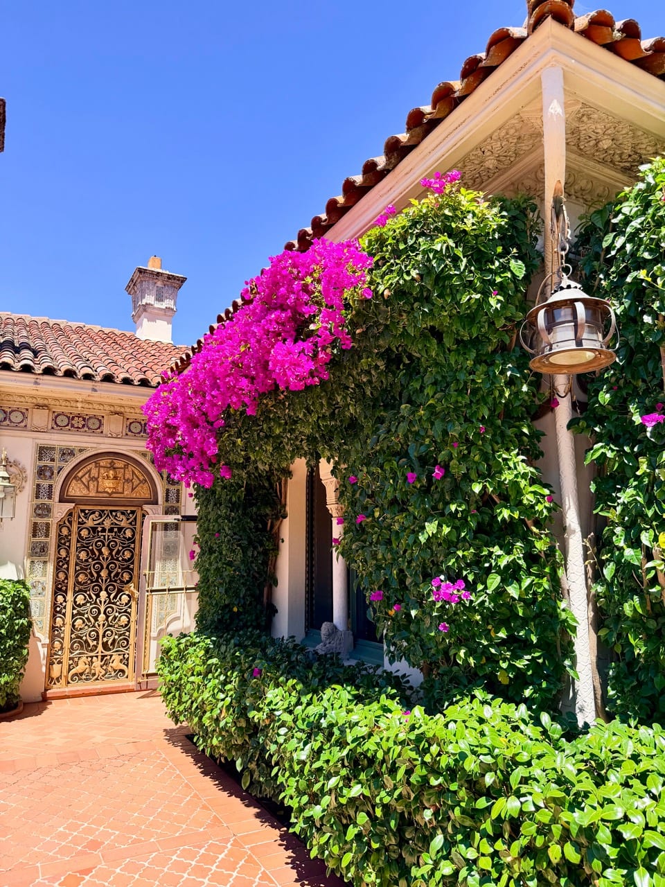 Bright magenta bougainvillea covering a tiled courtyard at Hearst Castle