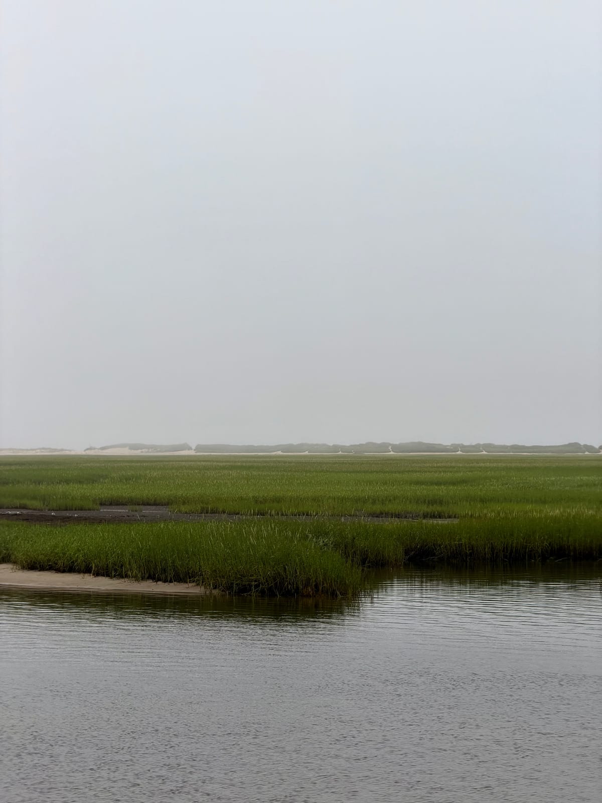 Fog hovering above a green salt marsh and distant dunes near Provincetown