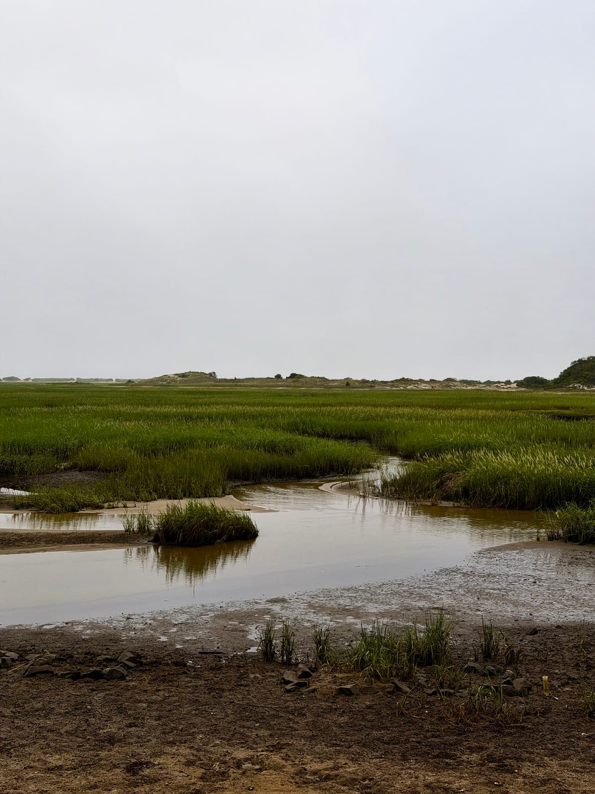 Tidal channels winding through a broad green salt marsh beneath a pale sky