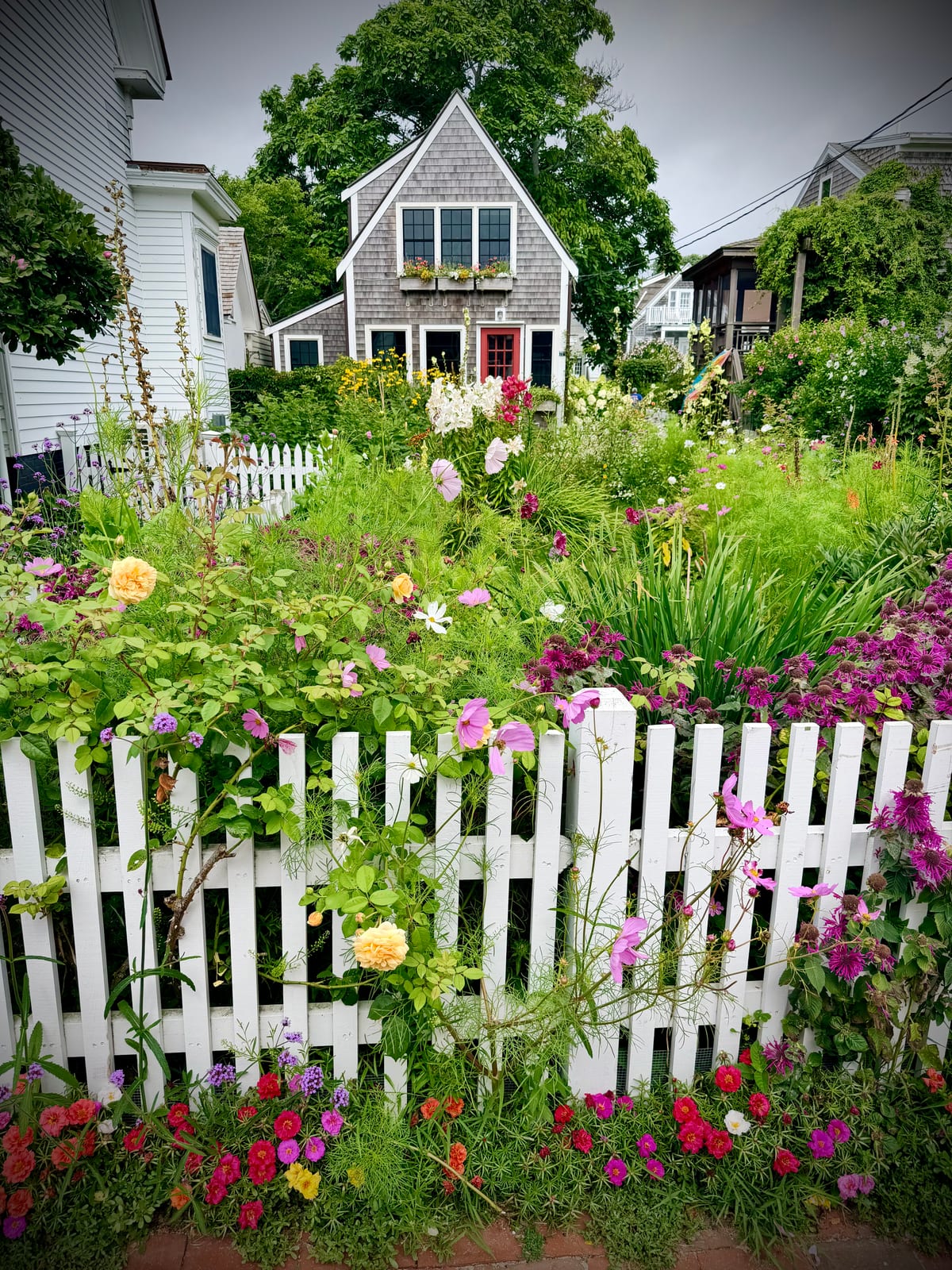 A gray shingled Provincetown cottage surrounded by a lush cottage garden