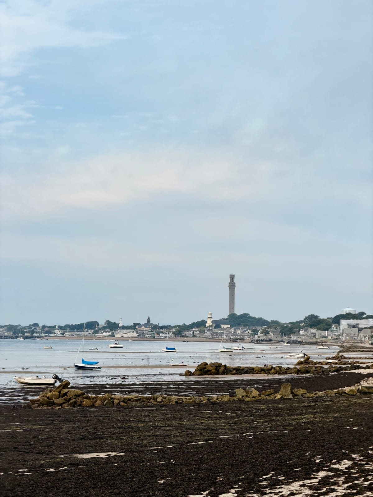 A wide salt marsh at low tide beneath dramatic blue-gray clouds