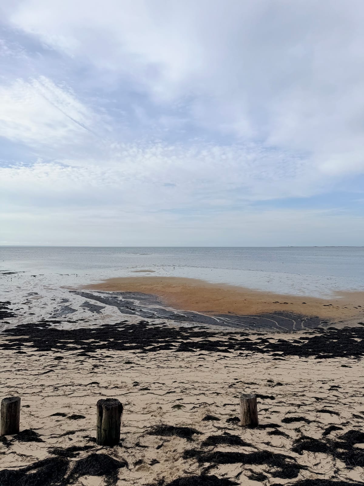 A quiet beach and tidal flat beneath an expansive cloudy sky