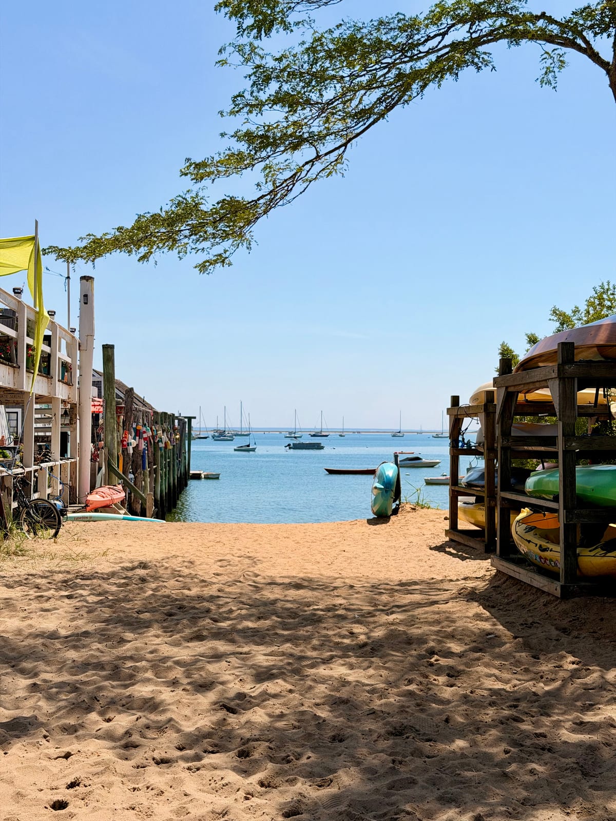 Kayaks stacked beside a sandy path opening onto Provincetown Harbor