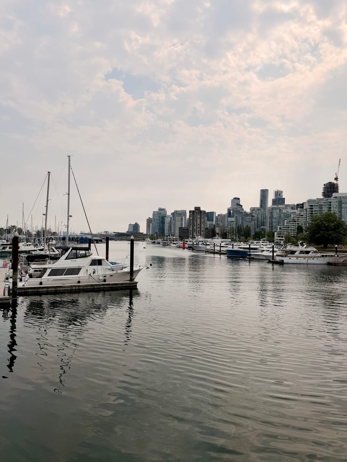 Boats filling a Vancouver marina with the downtown skyline beneath a cloudy sky