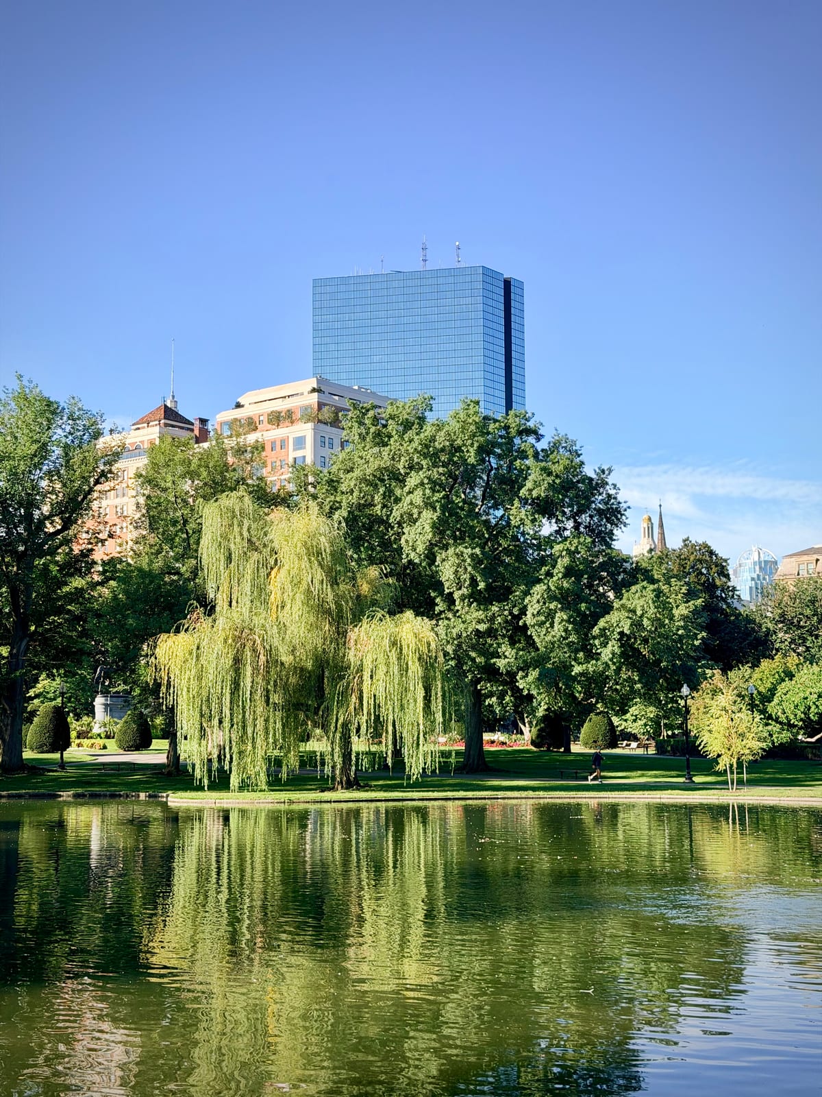 Weeping willows reflected in the Public Garden lagoon with Boston buildings rising beyond the trees