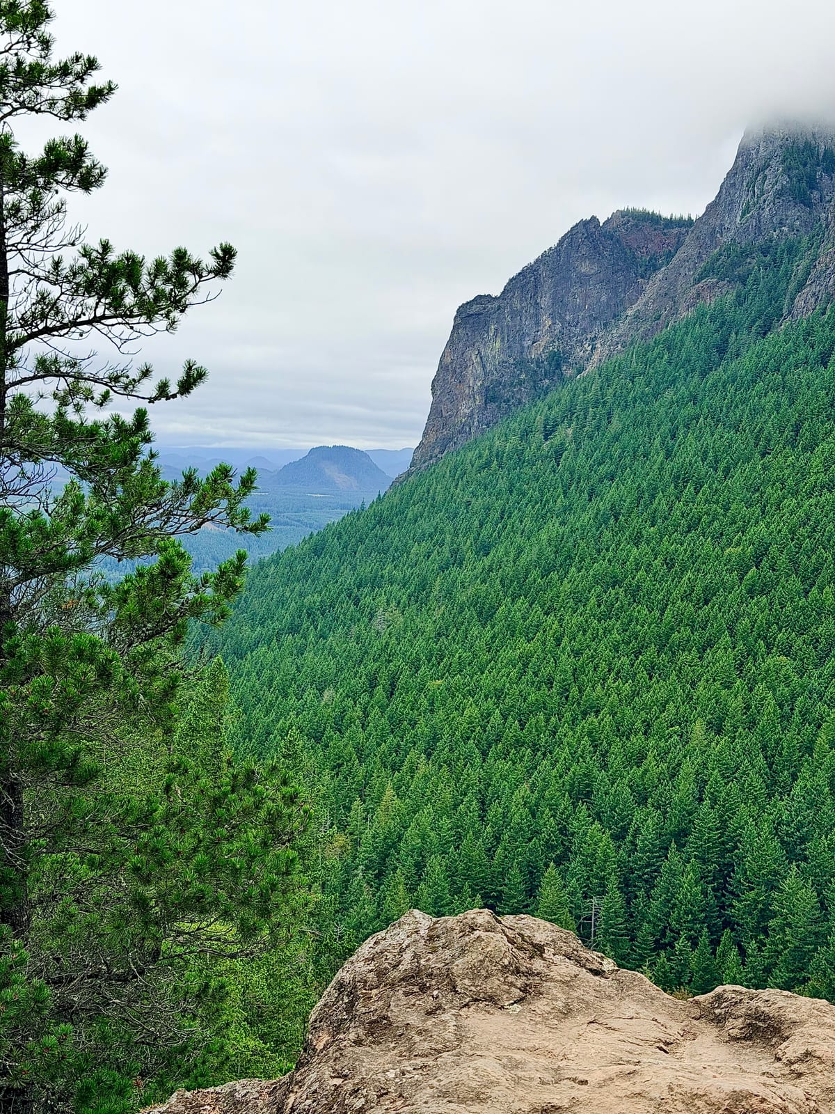 A rocky overlook facing a steep forested mountain ridge with its summit hidden in clouds