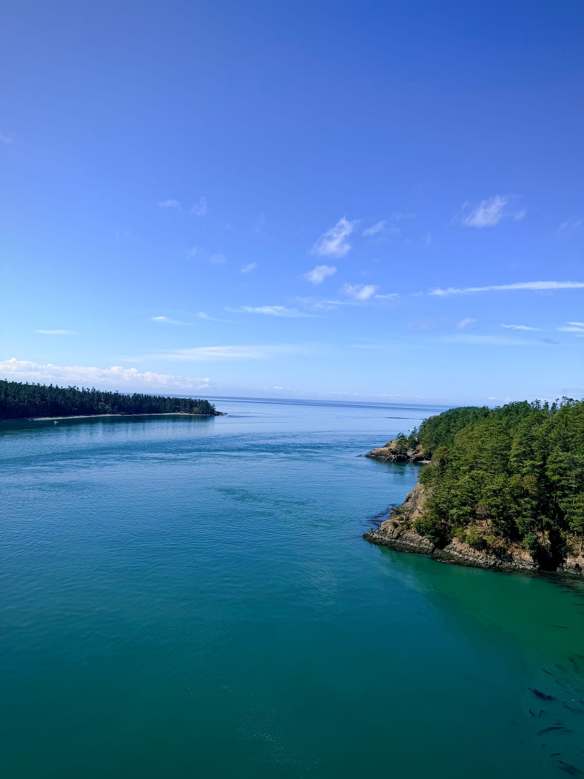 A wide view of the blue-green Deception Pass channel between forested shores